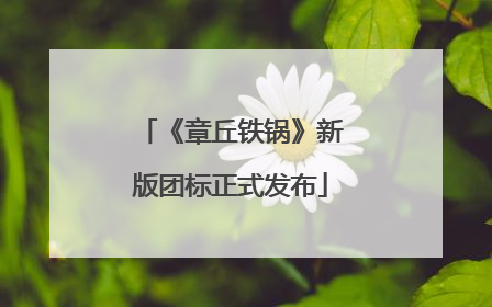 《章丘铁锅》新版团标正式发布