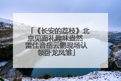 《长安的荔枝》北京见面礼趣味盎然 雷佳音岳云鹏现场认领卧龙凤雏
