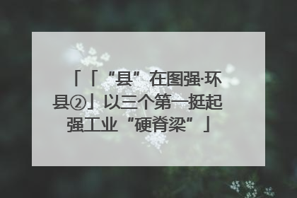 「“县”在图强·环县②」以三个第一挺起强工业“硬脊梁”
