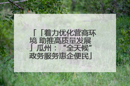 「着力优化营商环境 助推高质量发展」瓜州：“全天候”政务服务惠企便民
