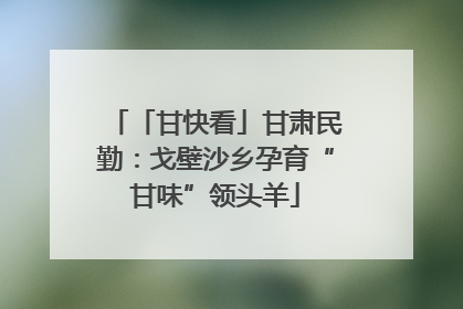 「甘快看」甘肃民勤：戈壁沙乡孕育“甘味”领头羊