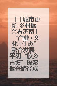 「城市更新 乡村振兴看济南」“产业+文化+生态”融合发展 平阴“胶乡古镇”探索振兴路径成效显著
