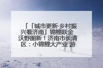 「城市更新·乡村振兴看济南」锦鲤跃金 沃野图新！济南市长清区：小锦鲤大产业 游出农旅新风景