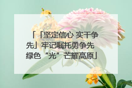 「坚定信心 实干争先」牢记嘱托勇争先 绿色“光”芒耀高原