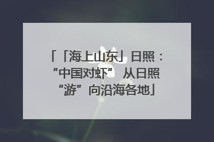 「海上山东」日照：“中国对虾” 从日照“游”向沿海各地