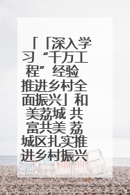 「深入学习“千万工程”经验 推进乡村全面振兴」和美荔城 共富共美 荔城区扎实推进乡村振兴工作