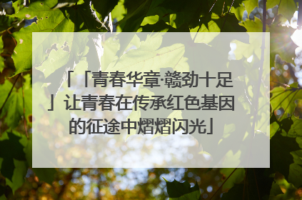 「青春华章·赣劲十足」让青春在传承红色基因的征途中熠熠闪光