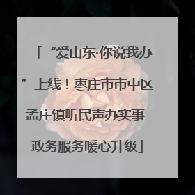 “爱山东·你说我办”上线！枣庄市市中区孟庄镇听民声办实事 政务服务暖心升级