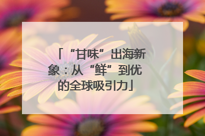 “甘味”出海新象：从“鲜”到优的全球吸引力
