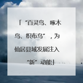 “百灵鸟、啄木鸟、织布鸟”，为仙居县域发展注入“新”动能