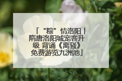 “粽”情洛阳丨隋唐洛阳城宠客升级 背诵《离骚》免费游览九洲池
