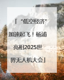 “低空经济”加速起飞！杨浦亮相2025世界无人机大会