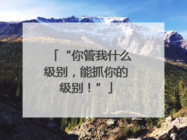 “你管我什么级别，能抓你的级别！”