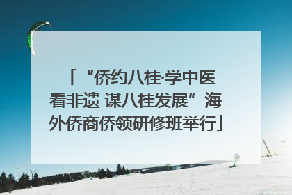 “侨约八桂·学中医 看非遗 谋八桂发展”海外侨商侨领研修班举行