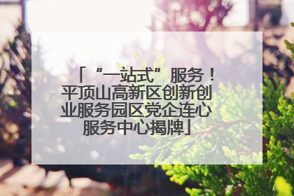 “一站式”服务！平顶山高新区创新创业服务园区党企连心服务中心揭牌