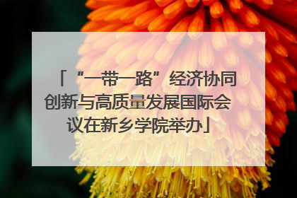 “一带一路”经济协同创新与高质量发展国际会议在新乡学院举办