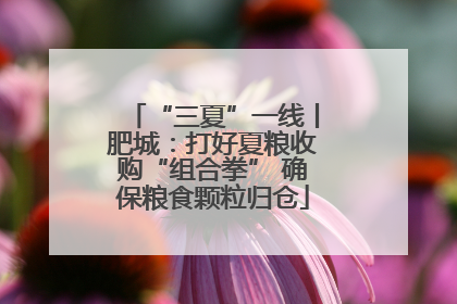 “三夏”一线丨肥城：打好夏粮收购“组合拳” 确保粮食颗粒归仓
