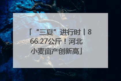 “三夏”进行时丨866.27公斤！河北小麦亩产创新高