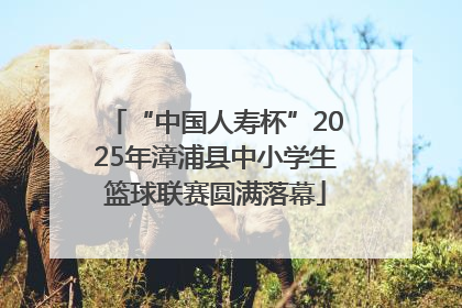 “中国人寿杯”2025年漳浦县中小学生篮球联赛圆满落幕