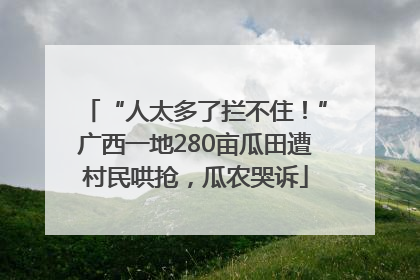 “人太多了拦不住！”广西一地280亩瓜田遭村民哄抢，瓜农哭诉
