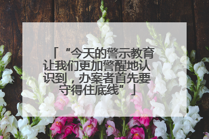 “今天的警示教育让我们更加警醒地认识到，办案者首先要守得住底线”