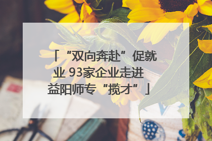 “双向奔赴”促就业 93家企业走进益阳师专“揽才”