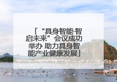 “具身智能·智启未来”会议成功举办 助力具身智能产业健康发展