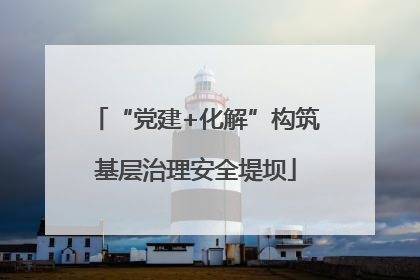 “党建+化解”构筑基层治理安全堤坝