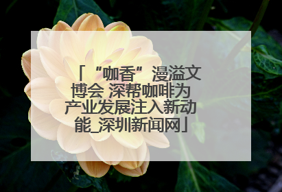 “咖香”漫溢文博会 深帮咖啡为产业发展注入新动能_深圳新闻网