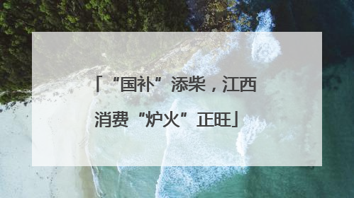 “国补”添柴，江西消费“炉火”正旺