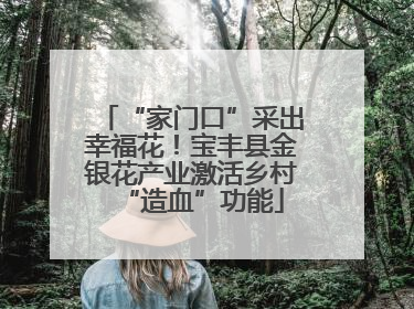 “家门口”采出幸福花！宝丰县金银花产业激活乡村“造血”功能