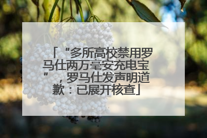 “多所高校禁用罗马仕两万毫安充电宝”，罗马仕发声明道歉：已展开核查