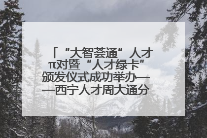 “大智荟通”人才π对暨“人才绿卡”颁发仪式成功举办——西宁人才周大通分会场亮点纷呈