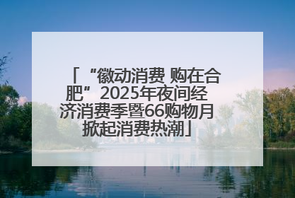 “徽动消费 购在合肥”2025年夜间经济消费季暨66购物月掀起消费热潮