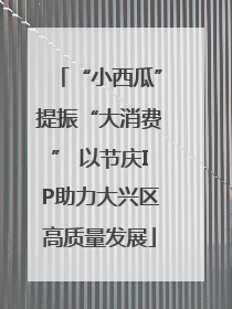 “小西瓜”提振“大消费” 以节庆IP助力大兴区高质量发展