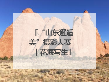 “山东邂逅美”摄影大赛｜花海写生