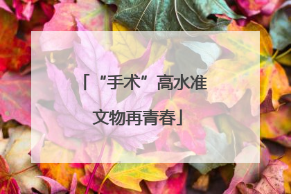 “手术”高水准 文物再青春