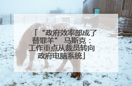 “政府效率部成了替罪羊” 马斯克：工作重点从裁员转向政府电脑系统