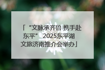 “文脉承齐鲁 携手赴东平” 2025东平湖文旅济南推介会举办