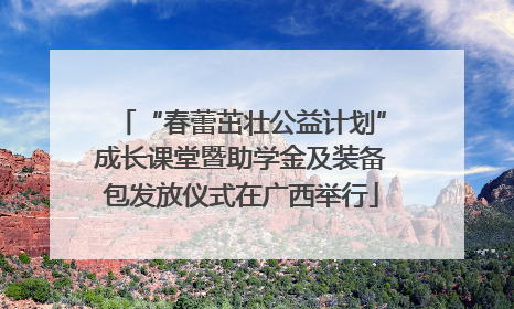 “春蕾茁壮公益计划”成长课堂暨助学金及装备包发放仪式在广西举行