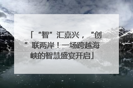 “智”汇嘉兴，“创”联两岸！一场跨越海峡的智慧盛宴开启
