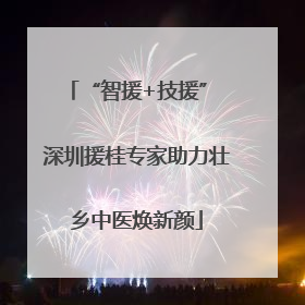 “智援+技援” 深圳援桂专家助力壮乡中医焕新颜
