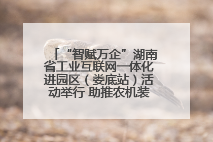 “智赋万企”湖南省工业互联网一体化进园区（娄底站）活动举行 助推农机装备产业高质量发展