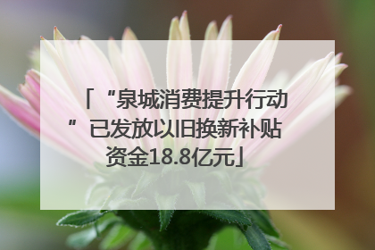 “泉城消费提升行动”已发放以旧换新补贴资金18.8亿元
