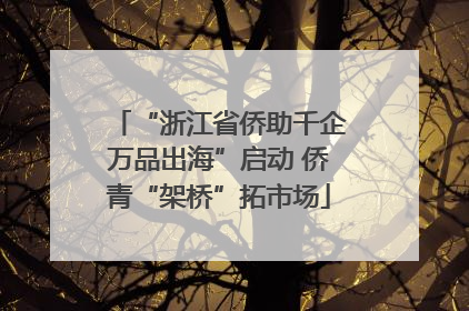 “浙江省侨助千企万品出海”启动 侨青“架桥”拓市场