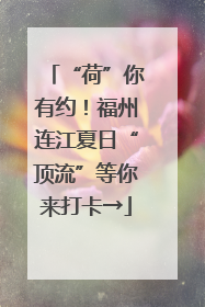 “荷”你有约！福州连江夏日“顶流”等你来打卡→