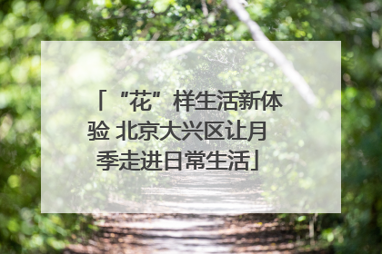 “花”样生活新体验 北京大兴区让月季走进日常生活