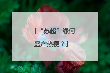 “苏超”缘何盛产热梗？