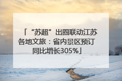 “苏超”出圈联动江苏各地文旅：省内景区预订同比增长305%