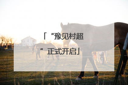 “豫见村超”正式开启